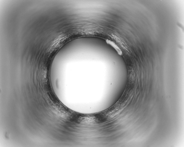 X0000093440548200711021056