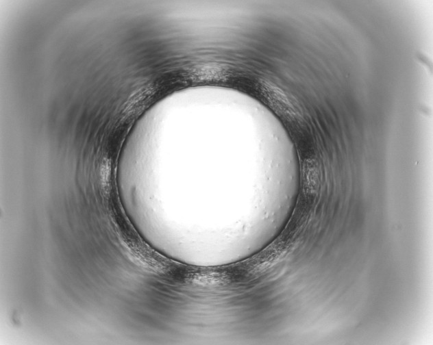 X0000093440550200711021056