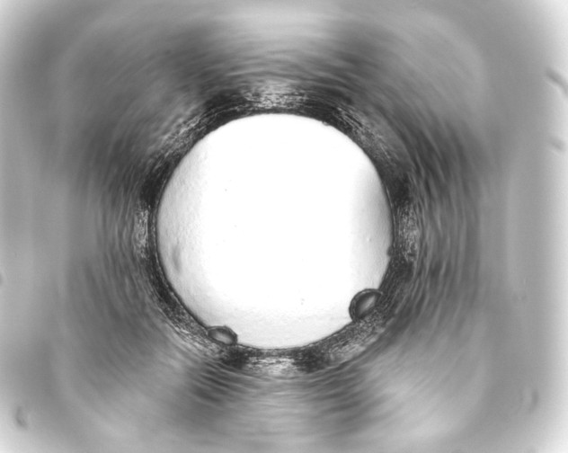 X0000093440554200711021056