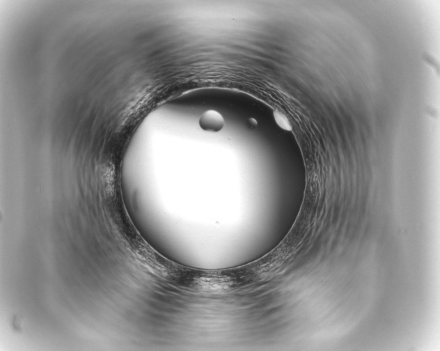 X0000093440556200711021056