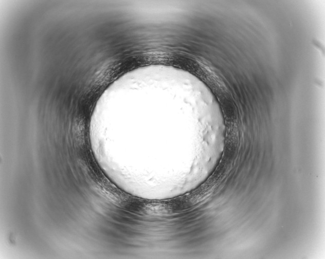 X0000093440557200711021056