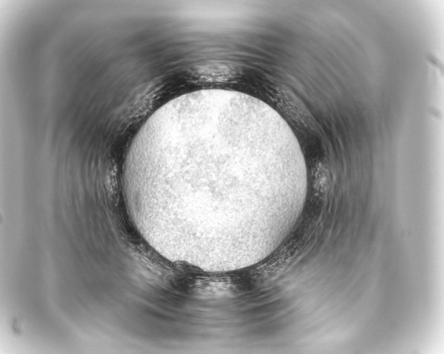 X0000093440559200711021056