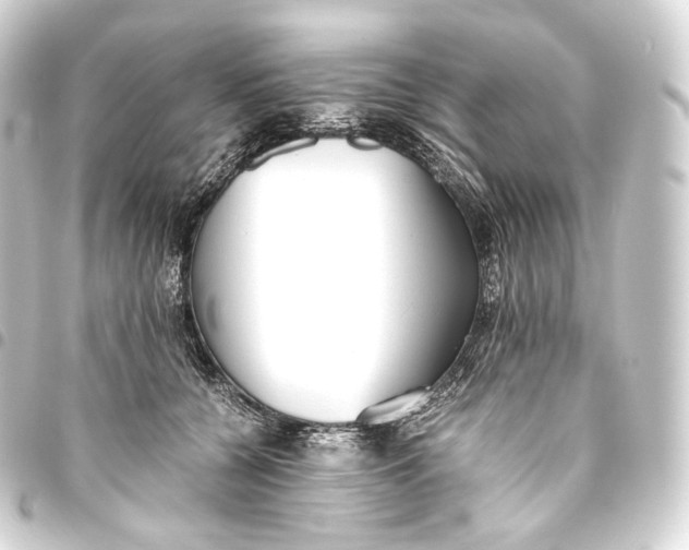 X0000093440560200711021056