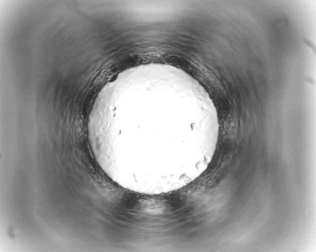 X0000093440561200711021056