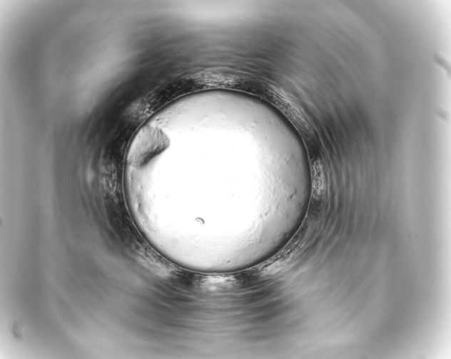 X0000093440573200711021056