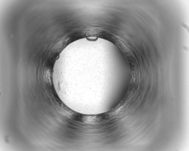 X0000093440575200711021056