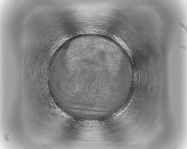 X0000093440577200711021055