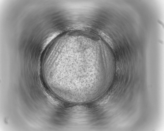 X0000093440578200711021055