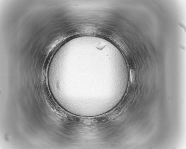 X0000093440579200711021055