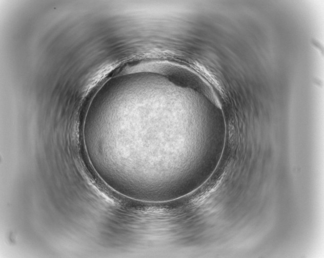 X0000093440581200711021055