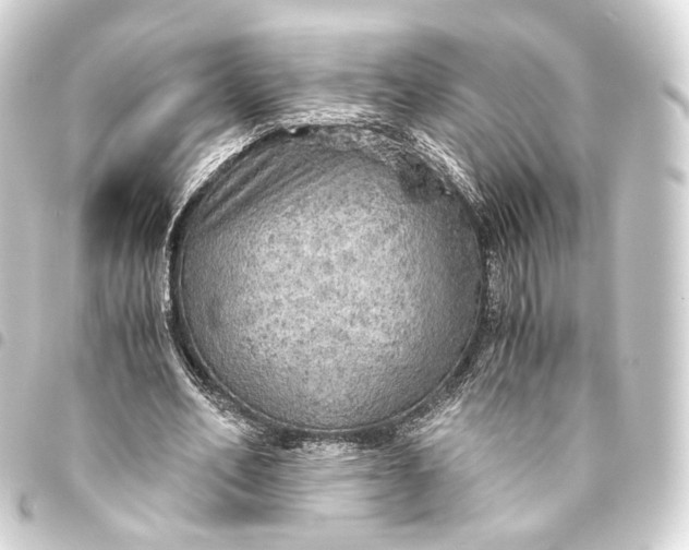 X0000093440582200711021055