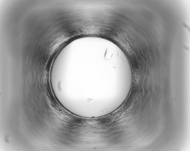 X0000093440583200711021055