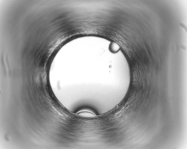 X0000093440584200711021055