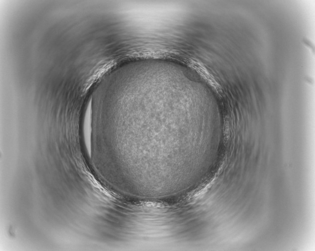 X0000093440585200711021055