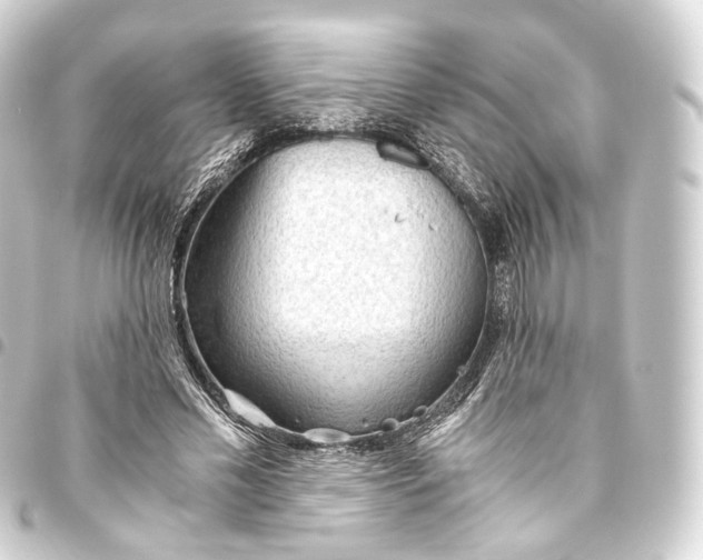 X0000093440589200711021055