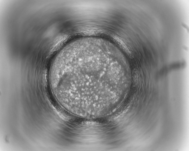 X0000093440590200711021055