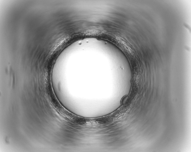 X0000093440591200711021055