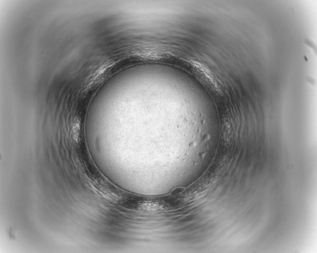 X0000093440596200711021055