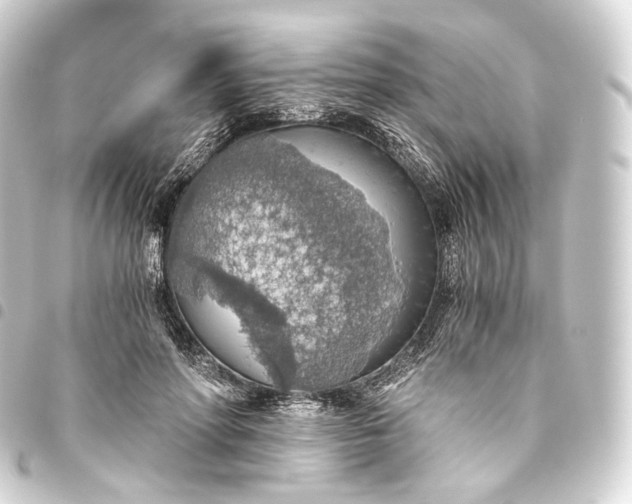 X0000093440598200711021055