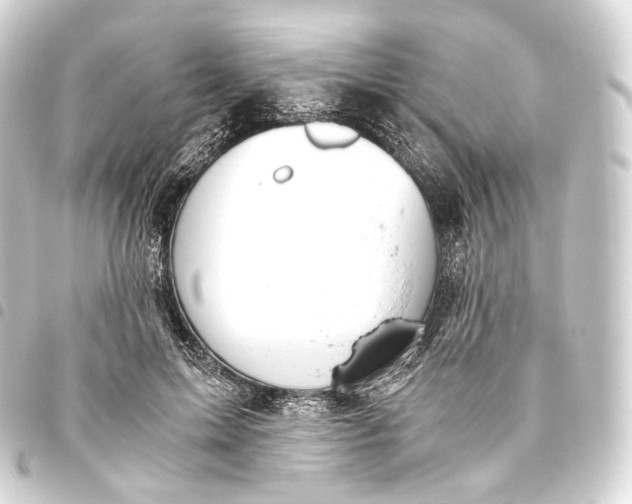 X0000093440599200711021055