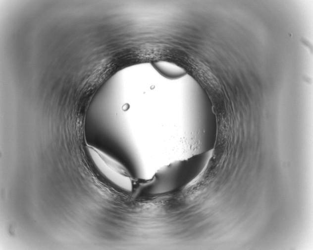 X0000093440601200711021055