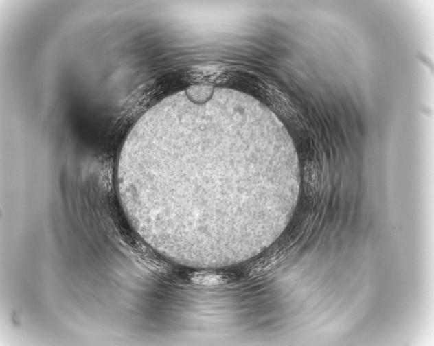 X0000093440602200711021055