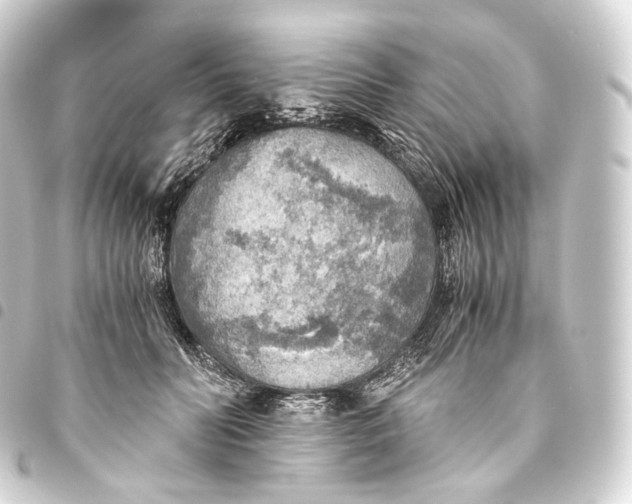 X0000093440606200711021055