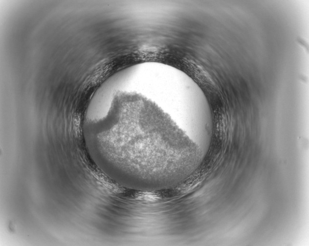 X0000093440610200711021055