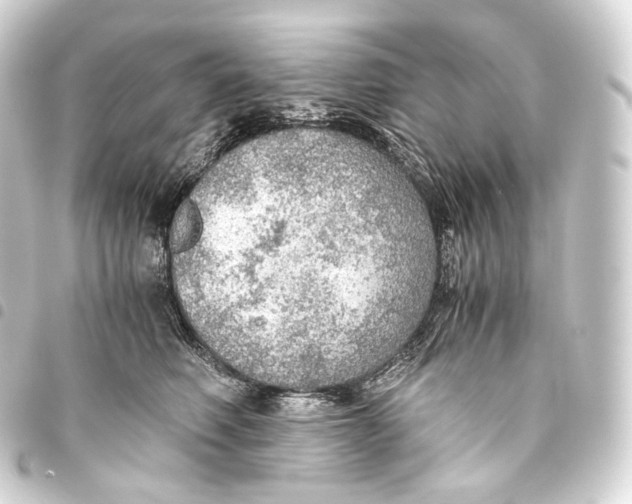 X0000093440614200711021055