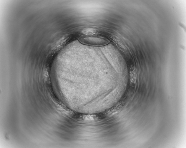 X0000093440618200711021055