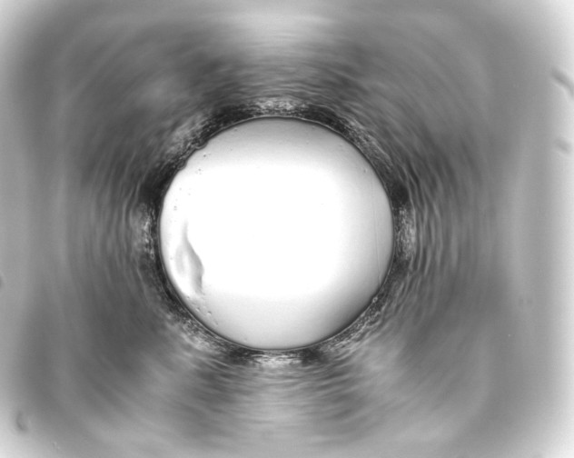 X0000093440619200711021055