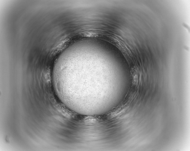 X0000093440620200711021055