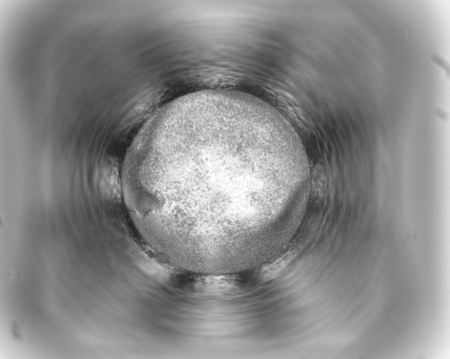 X0000093440622200711021055