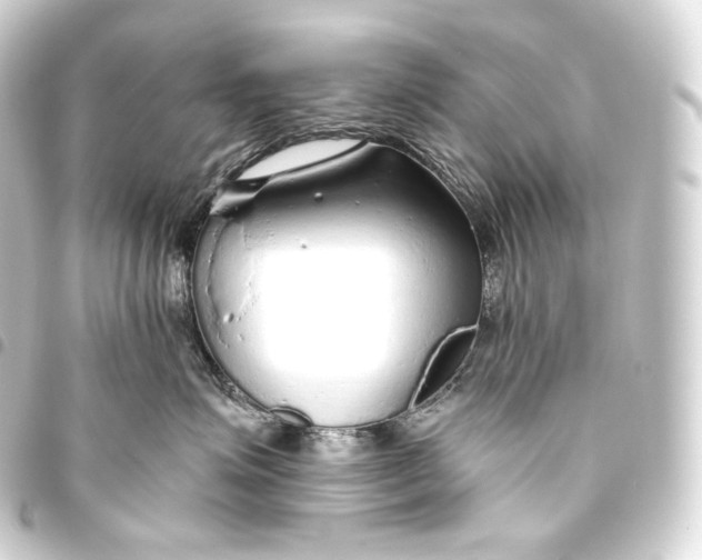 X0000093440623200711021055