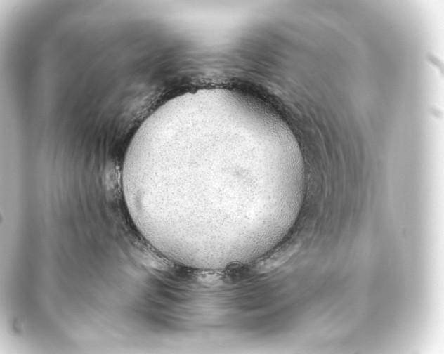 X0000093440624200711021055