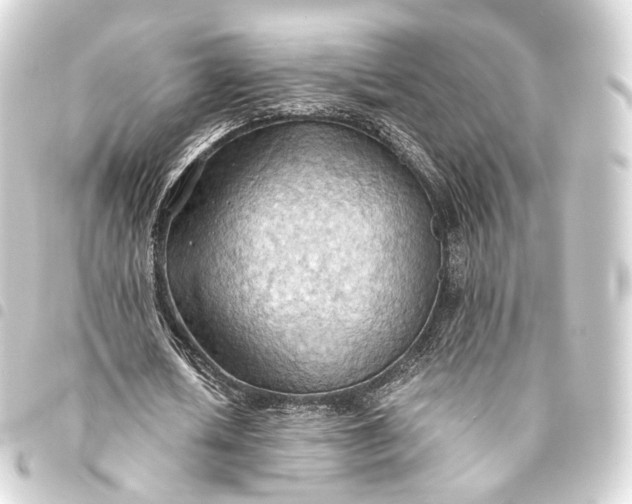 X0000093440626200711021054