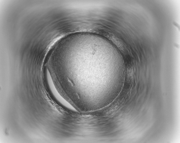 X0000093440628200711021054