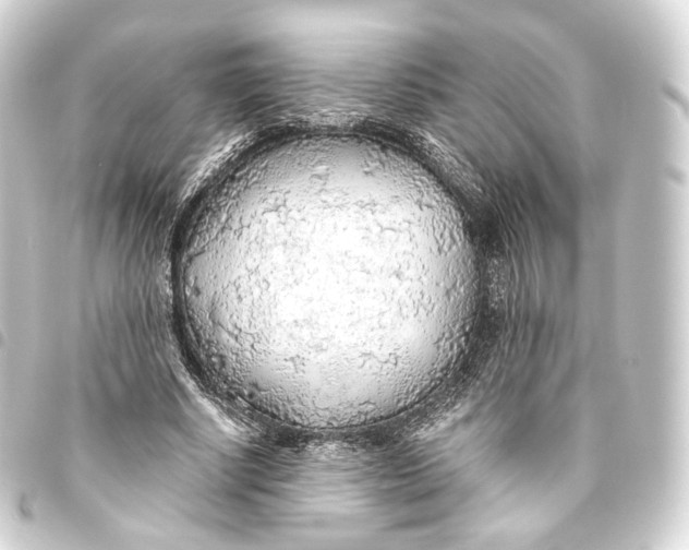 X0000093440634200711021054