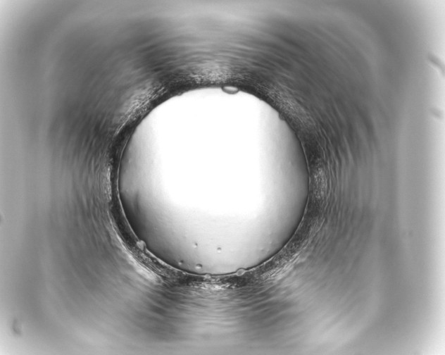 X0000093440638200711021054