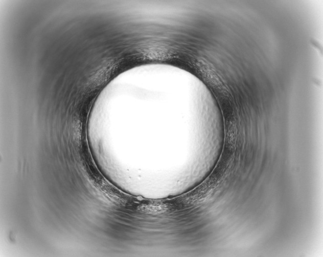 X0000093440639200711021054