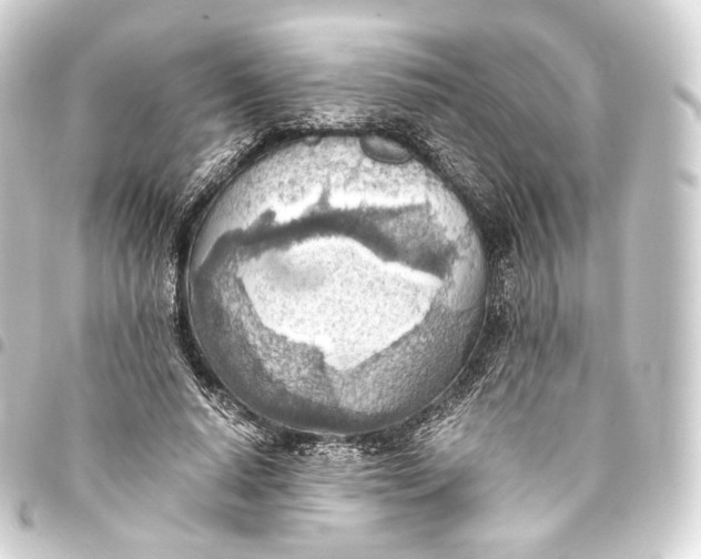 X0000093440640200711021055