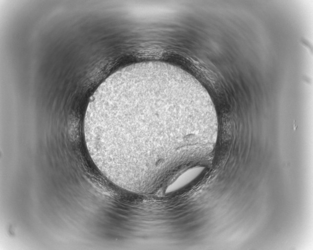 X0000093440641200711021055