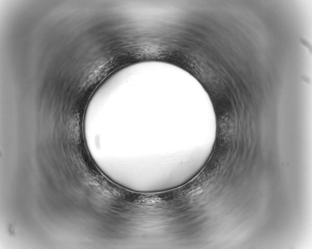 X0000093440642200711021055