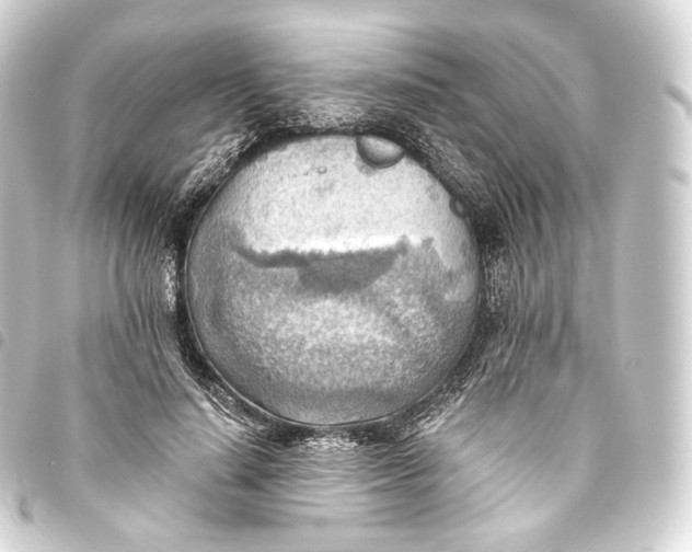 X0000093440644200711021055