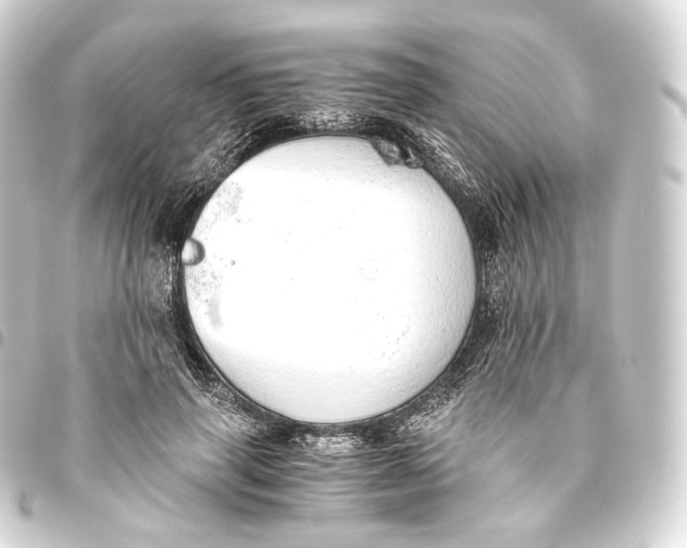 X0000093440645200711021055