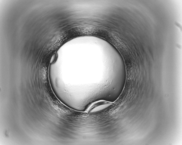 X0000093440646200711021055