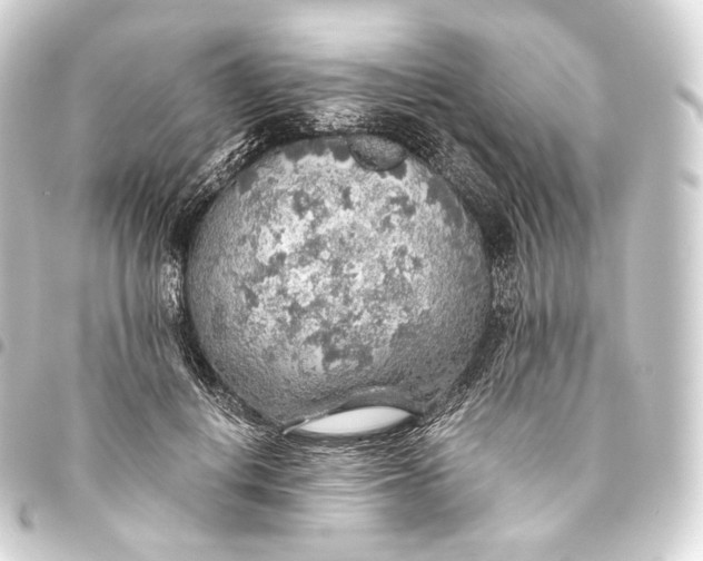 X0000093440648200711021055