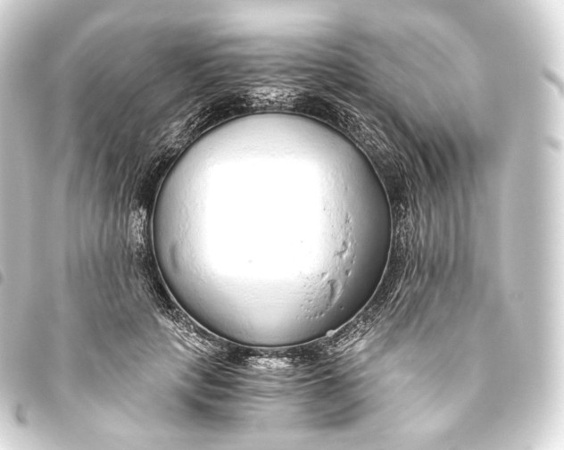 X0000093440649200711021055