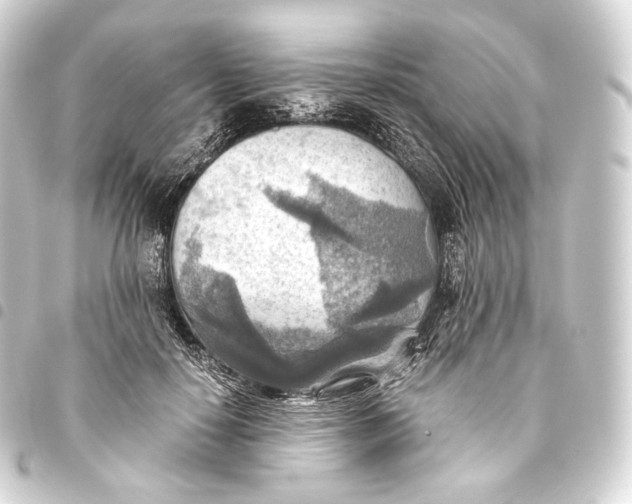 X0000093440650200711021055