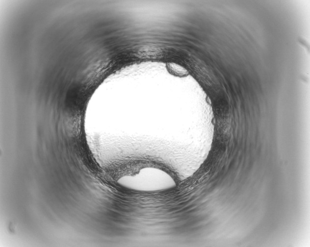 X0000093440652200711021055